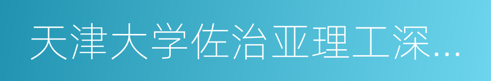 天津大学佐治亚理工深圳学院的同义词