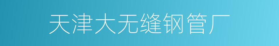 天津大无缝钢管厂的同义词