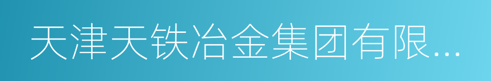 天津天铁冶金集团有限公司的同义词