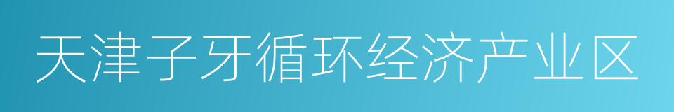 天津子牙循环经济产业区的同义词