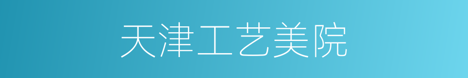 天津工艺美院的同义词