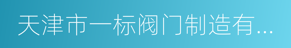 天津市一标阀门制造有限公司的同义词