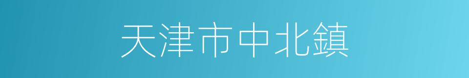 天津市中北鎮的同義詞
