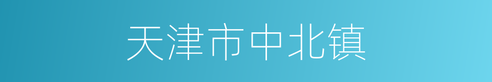 天津市中北镇的同义词