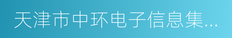 天津市中环电子信息集团有限公司的同义词