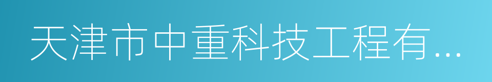 天津市中重科技工程有限公司的同义词