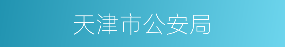 天津市公安局的同义词