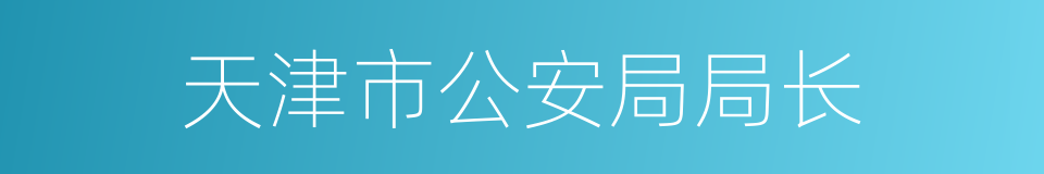 天津市公安局局长的同义词