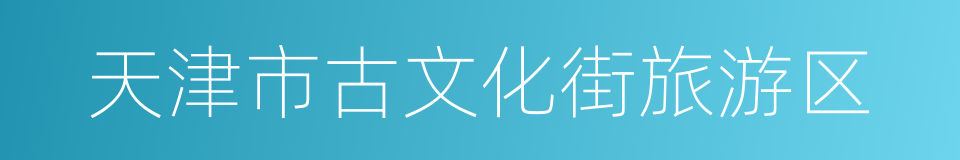 天津市古文化街旅游区的同义词