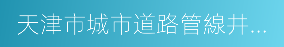 天津市城市道路管線井管理辦法的同義詞