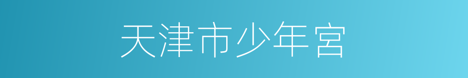天津市少年宮的同義詞