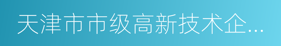 天津市市级高新技术企业认定管理办法的同义词