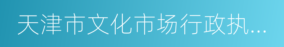 天津市文化市场行政执法总队的同义词