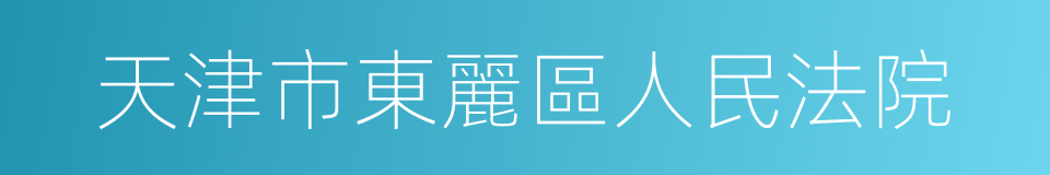 天津市東麗區人民法院的同義詞