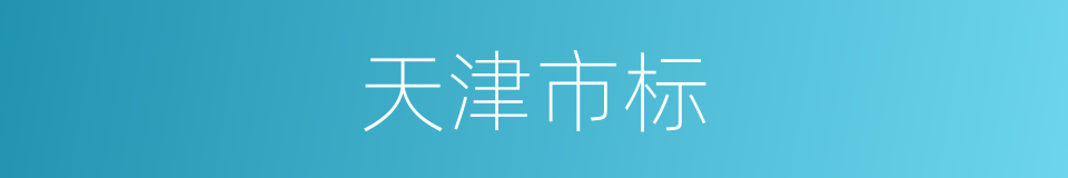 天津市标的同义词