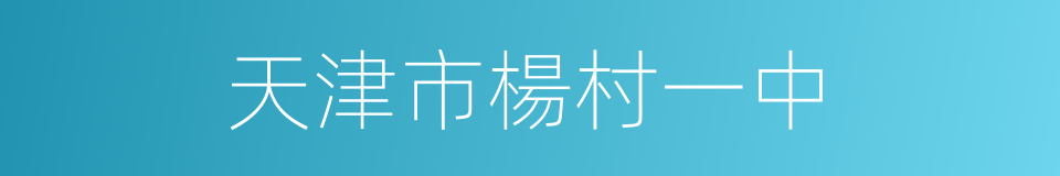 天津市楊村一中的同義詞