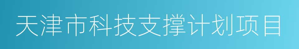天津市科技支撑计划项目的同义词