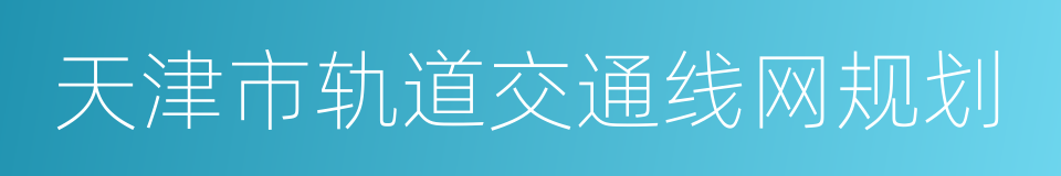 天津市轨道交通线网规划的同义词