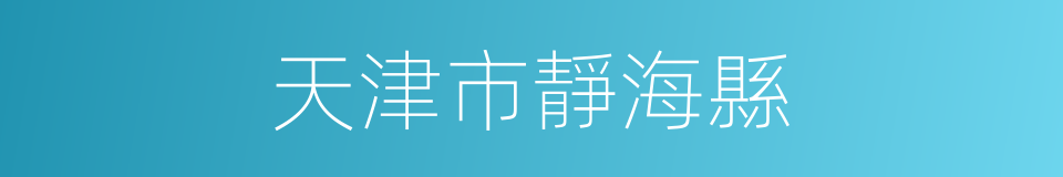天津市靜海縣的同義詞