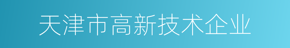 天津市高新技术企业的同义词