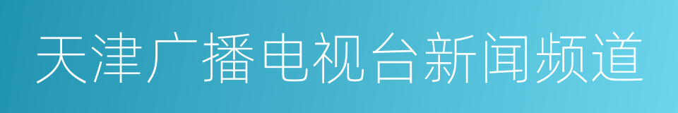 天津广播电视台新闻频道的同义词