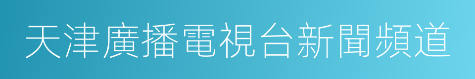 天津廣播電視台新聞頻道的同義詞