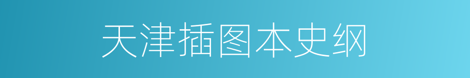 天津插图本史纲的同义词