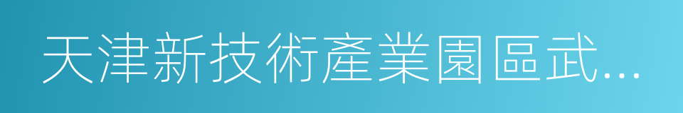 天津新技術產業園區武清開發區的同義詞