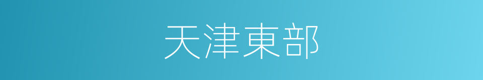 天津東部的同義詞