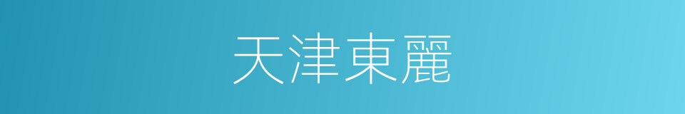 天津東麗的同義詞