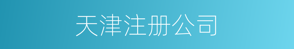 天津注册公司的同义词
