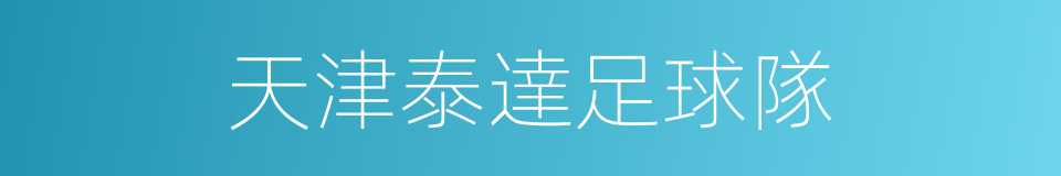 天津泰達足球隊的同義詞