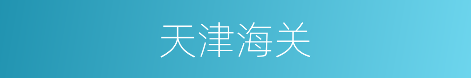 天津海关的同义词