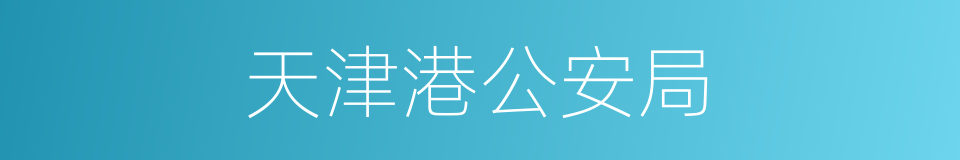 天津港公安局的同义词