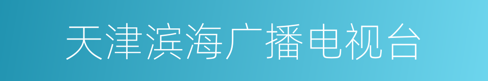 天津滨海广播电视台的同义词
