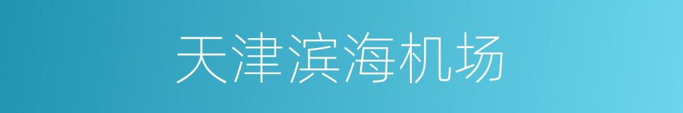 天津滨海机场的同义词