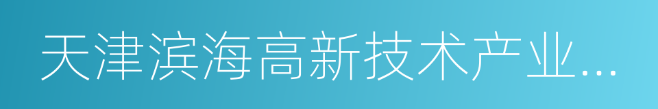 天津滨海高新技术产业开发区的同义词