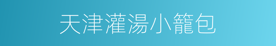 天津灌湯小籠包的同義詞
