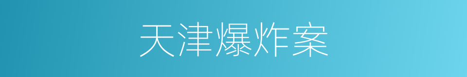 天津爆炸案的同义词