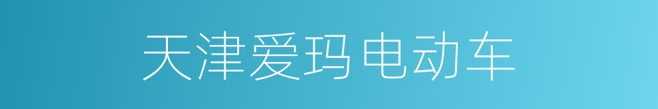 天津爱玛电动车的同义词