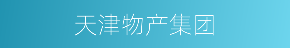 天津物产集团的同义词