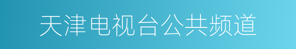 天津电视台公共频道的同义词