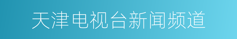 天津电视台新闻频道的同义词