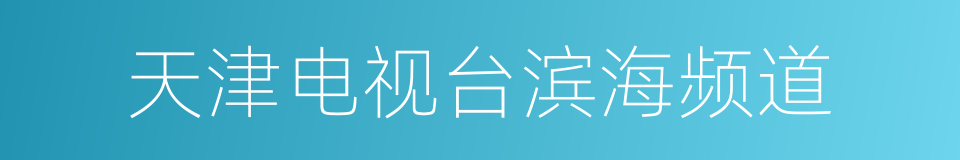 天津电视台滨海频道的同义词