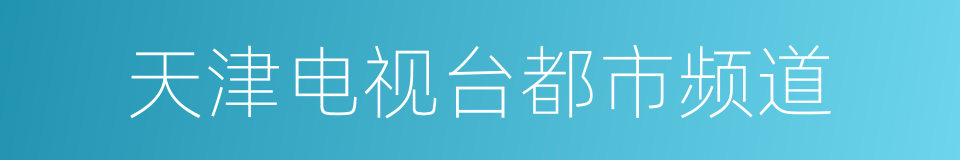 天津电视台都市频道的同义词