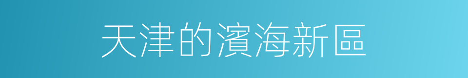 天津的濱海新區的同義詞