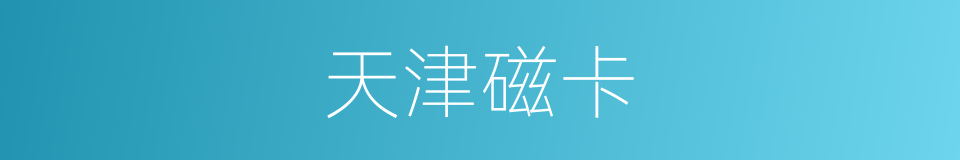 天津磁卡的同义词