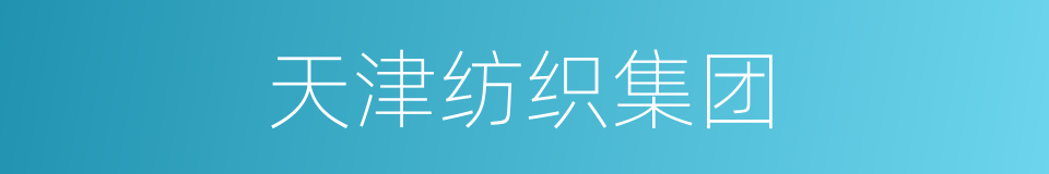 天津纺织集团的同义词