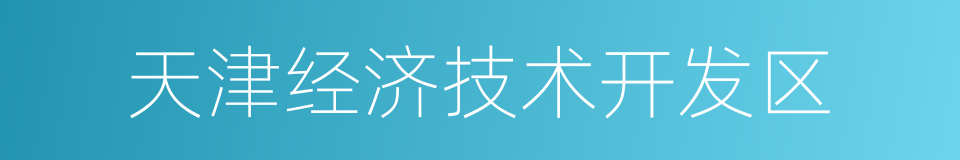 天津经济技术开发区的同义词