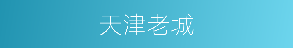 天津老城的同义词